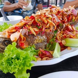 ปลาช่อนลุยนา