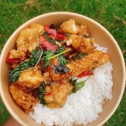 ข้าวหน้าไก่ทอดซอสกะเพรา