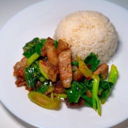 ข้าวราดผัดผักคะน้า
