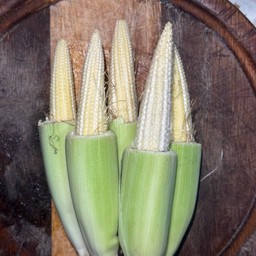 หม่าล่าข้าวโพดอ่อน