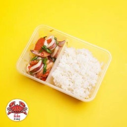 กระเพราปลาหมึก + ไข่ดาว ( ราดข้าวพิเศษ )