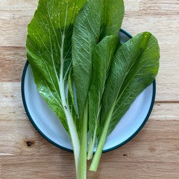 ผักกวางตุ้ง