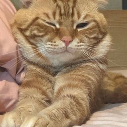 สงเคราะห์ส้มฉุน อรุ่มเจ๊าะ