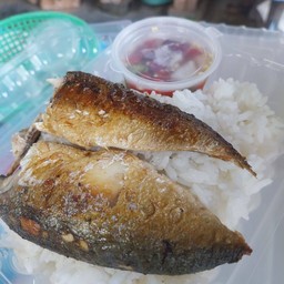 ข้าวปลาทูแกะ