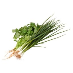 ต้นหอม+ผักชีหอม+หอมเปร์