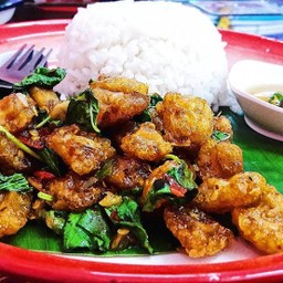 ข้าวผัดกระเพรา กากหมู กรอบๆ