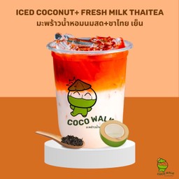 มะพร้าวน้ำหอมนมสดเย็น + ชาไทย