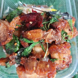 กระเพรา นำโชค