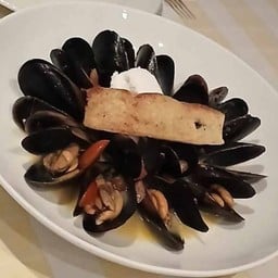 Black Mussel