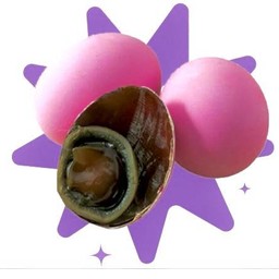 ไข่เยี่ยวม้า