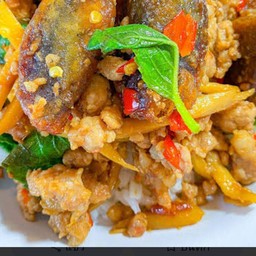 กระเพราไข่เยี่ยวม้าหมูสับราดข้าว