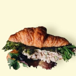 Tuna Croissants