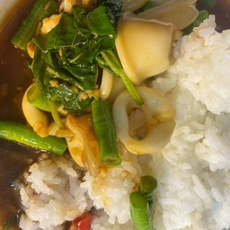 ข้าวราดกระเพราปลาหมึก