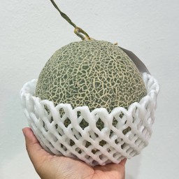 เมล่อน สายพันธุ์ญี่ปุ่น เนื้อเขียว เนื้อส้ม 1 ลูก