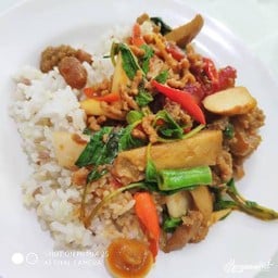 ข้าวราดกระเพราเจ