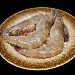 Bs19 กุ้งทะเล Prawn 