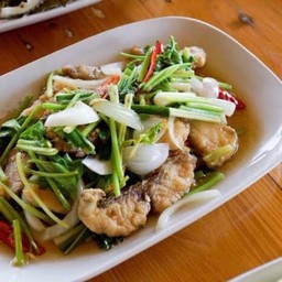 เนื้อกะพงทะเลผัดขึ้นฉ่าย