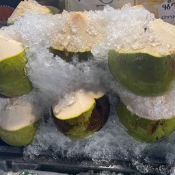 มะพร้าวลูก