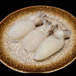 Bs21 หมึกกระดอง Squid