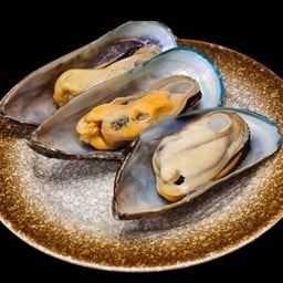 Bs20 หอยแมลงภู่ Mussels