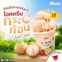 กระท้อนซอร์เบต 16 oz.