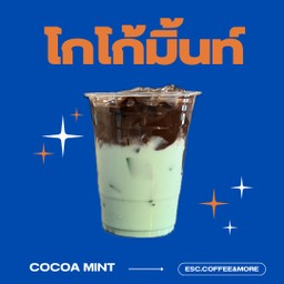 Cocoa mint