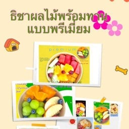 🍊🍇ธิชาผลไม้พร้อมทาน🍉🍎ปอกสดทำใหม่ทุกกล่อง Thichaผลไม้สดพร้อมทานพรีเมี่ยม/ชีสบอร์ด/ผลไม้แช่บ๊วยรสเด็ดและผลไม้ตามฤดูกาลตัวเมืองปทุม