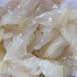 แมงกะพรุน