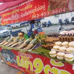 พิมศิริ ปลาเผา.ปลาเผา.๙.ตัว ตลาด.นัดจงเจริญ