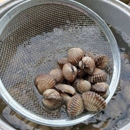 หอยแครงเลือด