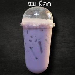 เผือกนมสด