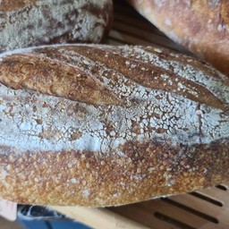 Classic sourdough large