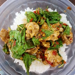 ข้าวราดผัดกะเพรา
