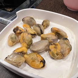 หอยแมลงภู่