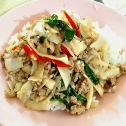 ข้าวกระเพราหน่อไม้ดองหมูสับ