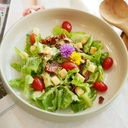 ซีซาร์สลัด