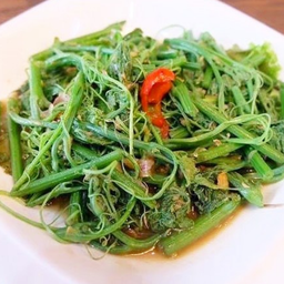 ยอดฟักแม้วผัดน้ำมันหอย