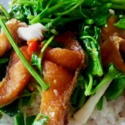 ข้าวราดผัดขึ้นช่าย