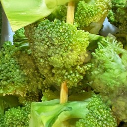 ผักบรอกโคลี
