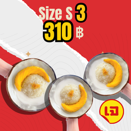 ข้าวเหนียวมะม่วงชุดเล็ก 3 ชุด
