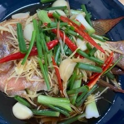 ปลาทับทิมนึ่งซีอิ๊ว