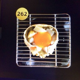 262มันปูย่างโฮตาเตะสดท็อปไข่แดงญี่ปุ่น