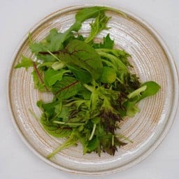 Mix Salad
