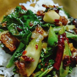 ข้าวคะน้าหมูกรอบ