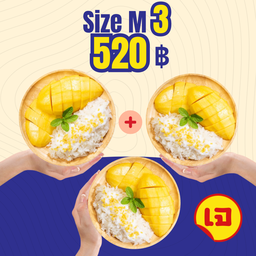 ข้าวเหนียวมะม่วงชุดใหญ่ 3 ชุด