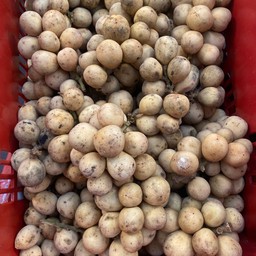 ลองกอง พันธุ์ตันหยงมัส(หวานค่ะ)