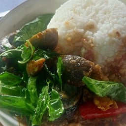 กระเพราไข่เยี่ยวม้า