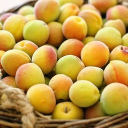 ชาบ๊วยอุเมะ