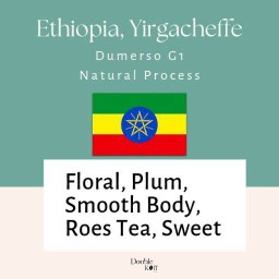 Ethiopia Yirgacheffe G1 200g
