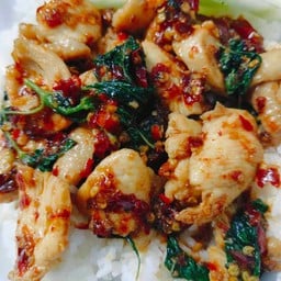 ข้าวกระเพราไก่